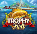  正版PP三金壶测评：从材质到体验，避坑指南+真实数据（正版PP三金壶测评）-第1张图片